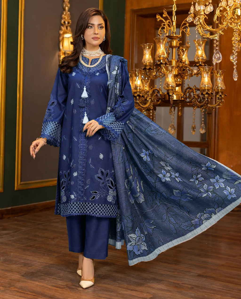 NEW ARRIVAL'S SUMMER DHANAK WINTER COLLECTION 2025-2026